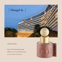 Diffuseur de parfum pour voiture en verre de 50 ml, huile essentielle longue durée, désodorisant et parfum d'ambiance pour voiture, vente en gros