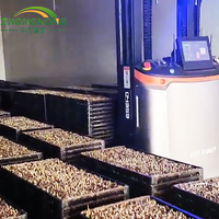 Machine automatique haute performance pour la culture de semis de riz, ligne de pépinière de riz pour l'agriculture