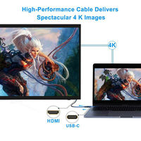 Zhongshan LJ Electronic LTD adaptor kabel hdmi pria, adaptor tipe c berlapis emas 24K Usb mikro ke hdmi