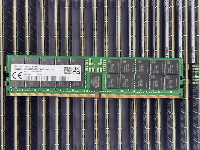 In Stock Wholesale DDR5 Server Memory Rams DDR5 256GB 5600Mhz ECC RDIMM Memoria Module for Server Ram HMCT14AGERA209N