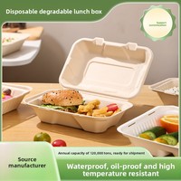 Biologisch afbreekbare wegwerp bento box van suikerrietpulp, magnetronbestendig met afsluitbaar deksel, voor croissant/gebak/fruit