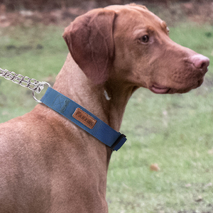 Collar de Perro de Diseño de Marca de Lujo con Clip Metálico y Hebilla con Logotipo de Marca Privada, Collar de Nailon/Poliéster Impermeable y Ajustable para Mascotas - Product Image 3