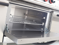 Cuisinière à gaz Ruitai à 6 brûleurs avec four électrique, fonctionnalités d'économie d'énergie et de nettoyage facile, construction en acier inoxydable