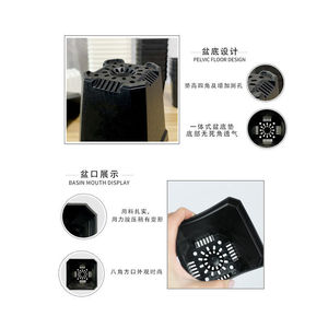 Macetas para suculentas, macetas cuadradas pequeñas para Sedum, tamaño grande, cactus de estilo coreano de aspecto envejecido, macetas cuadradas pequeñas blancas para - Product Image 5