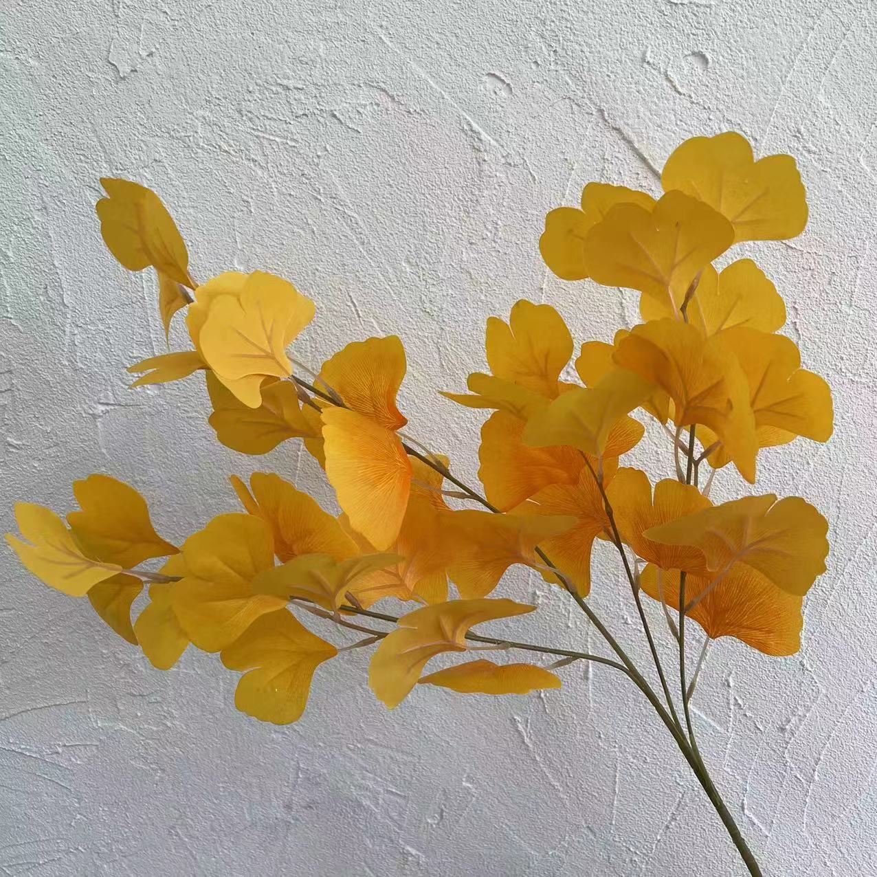 #3 feuilles de ginkgo biloba