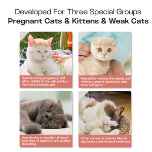 Gotas de Hierro Líquido Natural <span class=keywords><strong>y</strong></span> Vitamina B12 al por Mayor para Perros <span class=keywords><strong>y</strong></span> Gatos, Suplemento para Mascotas de Rápida Absorción que Apoya la Energía <span class=keywords><strong>y</strong></span> la <span class=keywords><strong>Salud</strong></span> Inmunológica - Product Image 3