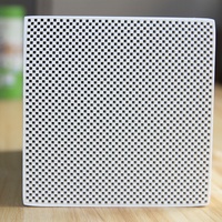 Personalizzato nuovo filtro antiparticolato Diesel a nido d'ape Cordierite Carrier substrato DPF con rivestimento in metallo prezioso