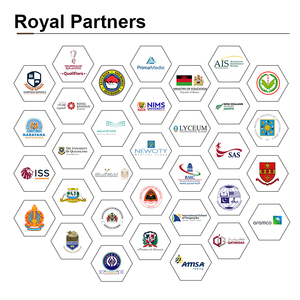 Set Letto a Castello in Legno Massello per Camera da Letto Moderna con 4 Cassetti, Scala e Ringhiera di Sicurezza per Bambini - Product Image 5