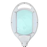 Lampe Loupe Professionnelle OEM à LED 3,5 Dioptries pour Esthéticiennes, Lumière du Jour, pour Salon de Beauté - Vente Chaude