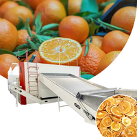 Oranje gaasbanddroogapparatuur, oranje banddroger, continue banddroger, oranje gaasbanddroger, industriële fruitdroogmachine