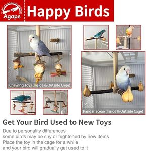 Parrot oyuncak ile dönen papağan levrek oyuncak, her türlü kuşlar için doğal ahşap levrek <span class=keywords><strong>stand</strong></span>ı, kuş kafesi aksesuar ile egzersiz tekerleği - Product Image 6