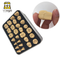 Modelo Anatómico Dental de Resina para Práctica de Estudiantes, Enseñanza de Tallado Dental, Comparación de Fissuras y Caries YOUYA DENTAL Easy