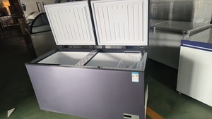 Congelador Horizontal de Una Sola Temperatura para Supermercados, Económico, de 450l, 550l, 650l, 750l, para Uso Doméstico - Product Image 5