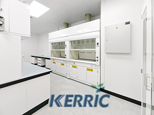 Hotte à fumées métallique <span class=keywords><strong>Dersion</strong></span> résistante aux acides pour les laboratoires chimiques des écoles et des usines - Product Image 3
