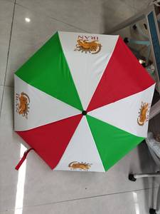 Custom Logo Cheap National Flag 100% Polyester 21*8K <strong>Travel</strong> Rain Sun Portable <strong>Repel</strong> <strong>Windproof</strong> Folding <strong>Umbrella</strong> Iran <strong>Umbrella</strong> - Product Image 3