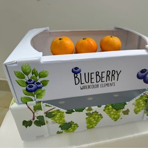 Caja de Plástico Corrugado de Polipropileno Coroplast al Mejor <span class=keywords><strong>Precio</strong></span>, para Empaque de Tomates Frescos y Uvas, Apilable, para Almacenamiento y Transporte de Frutas - Product Image 3