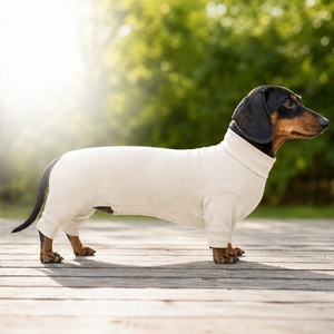 Mono transpirable de bambú y algodón orgánico para <span class=keywords><strong>perros</strong></span>, con cuello alto, para recuperación de heridas y prevención de lamidas, para Dachshund - Product Image 4