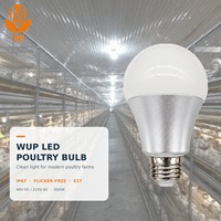 Iluminación LED para Gallineros, 48V DC IP67, Sin Parpadeo, Regulable, Bombilla para Aves de Corral, para Granjas Avícolas Modernas y Proyectos de Gallineros