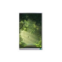 IPS T4.0 "resolusi tinggi IPS TFT layar LCD 480x800 ILI9806E IC RGB antarmuka Panel sentuh sudut pandang lebar