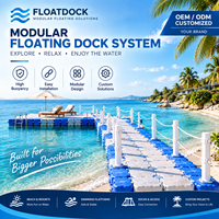 Dock flottant modulaire/Cube flottant Garantie 3 ans 6000 pièces HDPE 100 pièces Capacité de charge 300-350 kg/m² Durée de vie 14-15 ans