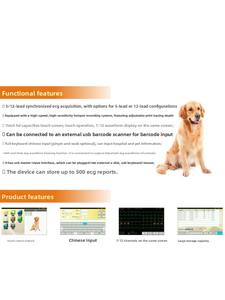 Máquina de ECG veterinaria de <span class=keywords><strong>pantalla</strong></span> grande de alta definición Hongbang <span class=keywords><strong>para</strong></span> investigación de laboratorio reutilizable específica <span class=keywords><strong>para</strong></span> ratas <span class=keywords><strong>ratones</strong></span> <span class=keywords><strong>gatos</strong></span> ovejas ganado - Product Image 3