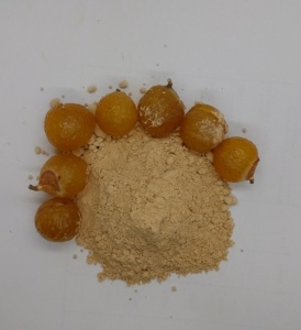 ผงผลไม้บริสุทธิ์จาก retha ส่งออกจำนวนมากจากอินเดีย - Product Image 4