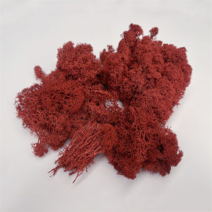 गर्म बिक्री रंगीन रेहिरण मॉस ने परिदृश्य दीवार फर्श डिकोड के लिए घास सफेद काले नीले स्थिर मॉस को संरक्षित किया - Product Image 6