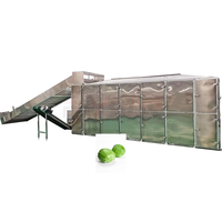 Séchoir industriel à bande maillée pour choux, fruits, kiwi, raisins et noix de coco - Vente directe