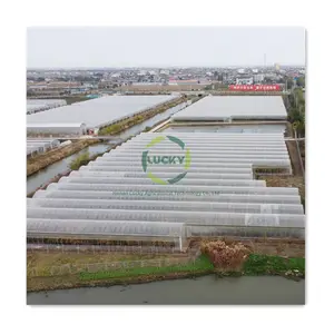 Poly Carbonate Shed Net Tomato Galvanized Steel Frame Single Span PE Film Green House For Raising Chickens