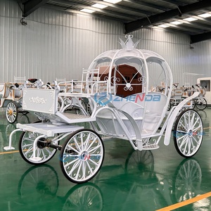 Charrette électrique à chevaux, calèche citrouille, 6 places, pneus en caoutchouc massif, transport spécial, mariage, tourisme - Product Image 3