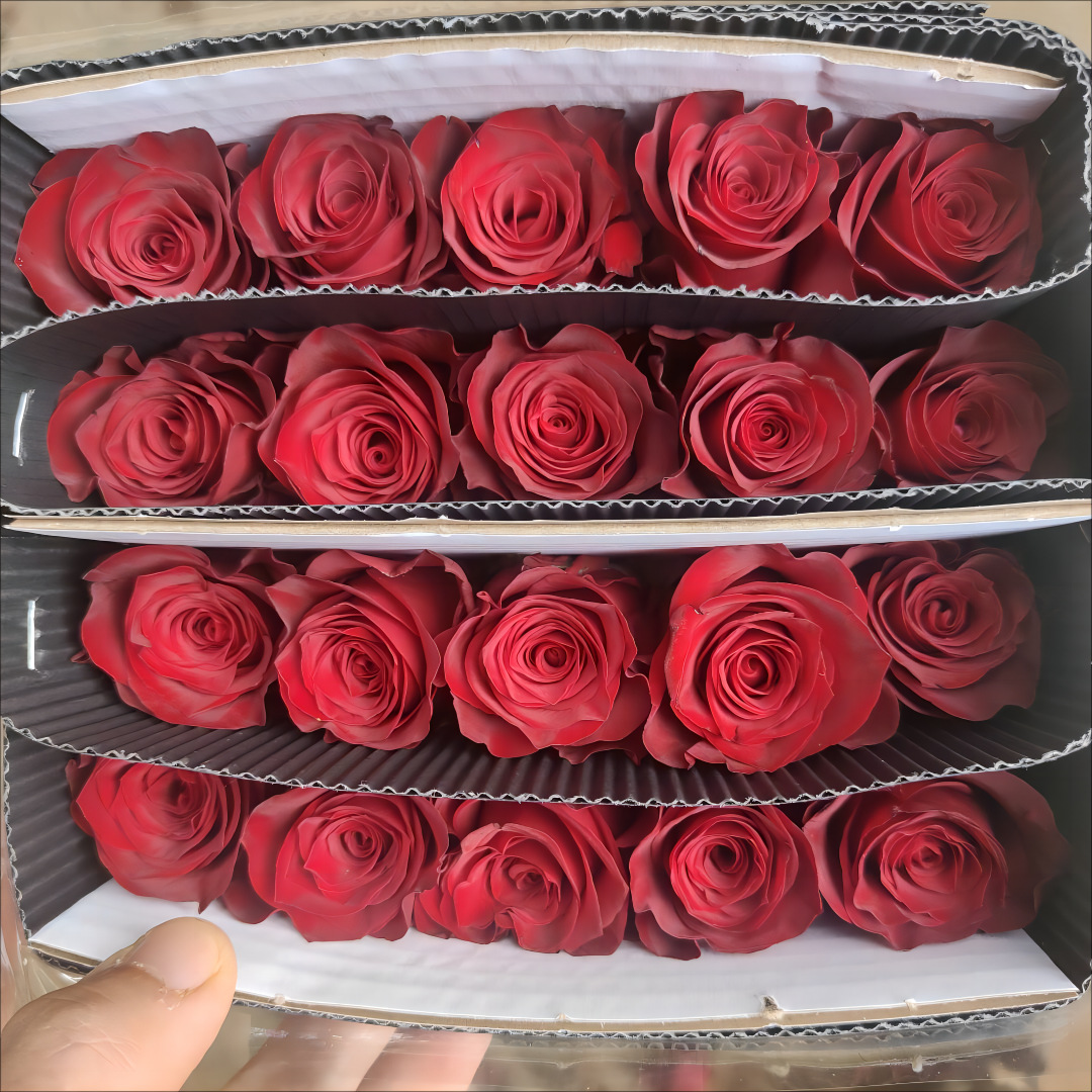 1 ramo de 20 rosas rojas de meseta