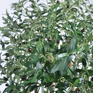 עץ זית מלאכותי יוקרתי בגובה 1.8 מטר, בעל גזע מרובה בצבע שחור, עם גזע עץ טבעי, לקישוט הבית, המשרד או קניון. - Product Image 3