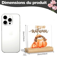 Acryl-Figuren-Dekoration Igel und Kürbis Herbst-Dekoschild zum Aufhängen, geeignet für Heim-/Schreibtisch-/Regaldekoration