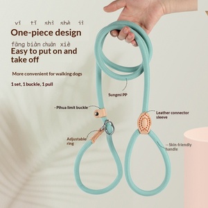 Verstelbare handgreep handsfree slip lead hondenriem voor grote en middelgrote honden - Product Image 2