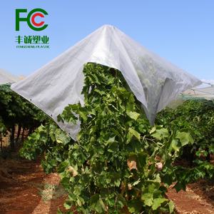 Film plastique anti-UV <span class=keywords><strong>pour</strong></span> <span class=keywords><strong>serre</strong></span> Bâche tissée robuste <span class=keywords><strong>pour</strong></span> vergers de cerisiers - Product Image 6