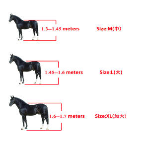 Bottes d'équitation antidérapantes pour hommes, bandages, personnalisés, harnais, brossage, nouveau, 2020 - Product Image 5