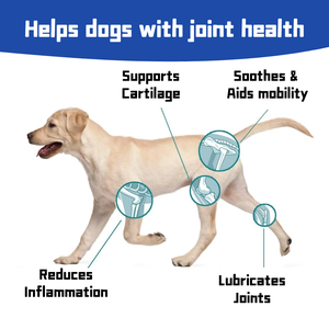 Cuidado Suplemento <span class=keywords><strong>para</strong></span> el cuidado de las articulaciones de <span class=keywords><strong>perros</strong></span> <span class=keywords><strong>viejos</strong></span> Producto cuadrado Suplemento <span class=keywords><strong>para</strong></span> la cadera y las articulaciones del perro masticable Comida <span class=keywords><strong>para</strong></span> mascotas <span class=keywords><strong>para</strong></span> <span class=keywords><strong>perros</strong></span> - Product Image 3