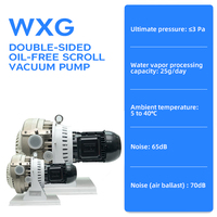 Bomba de Vacío de Desplazamiento Bilateral sin Aceite WXG-4B 4L/S, Libre de Mantenimiento, para Sistemas de Envasado de Alimentos