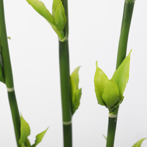 Plante artificielle populaire en <span class=keywords><strong>bambou</strong></span>, <span class=keywords><strong>tige</strong></span> unique en plastique, vert et violet, pour la décoration de la maison, du couloir et des mariages - Product Image 3