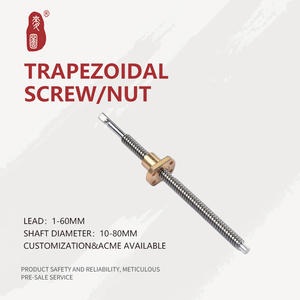 Нержавеющая сталь, трапециевидный винт и гайка | SS303 / SS304/SS316, прецизионные свинцовые винты - Product Image 2