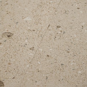 Baldosas de gres porcelánico Evora color crema, 59.2 x 59.2 cm, 8 mm, acabado mate, rectificadas, para suelo y pared - Product Image 4