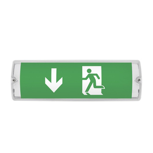 Tự Kiểm Tra Sạc Chức Năng CE, RoHS, PC LED 4W Ip65 LED Khẩn Cấp Bulkhead Ánh Sáng - Product Image 1