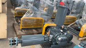 LG-125 Double étage 11kw 15HP Tmvt Aerzen Roots Pd Souffleurs Tri Lobe Prix Silancer Essence 380v pour Gaz - Product Image 4