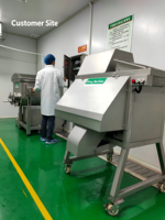 EMIN Automatische Snijmachine Commerciële Striping Snijdende Snijdende Multifunctionele Aardappel Wortel Taro Gember Fruit Groente