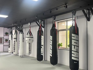 أفضل سعر للبيع من منتجات الرفوف ، تجهيز صالة الألعاب الرياضية mma ، قوس المسار aqua - Product Image 4