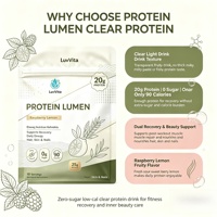 Proteína en Polvo Transparente OEM, Sabor Personalizado, 20g de Proteína por Porción con Colágeno y Enzimas, Sin Azúcar, para el Mercado de Fitness y Belleza