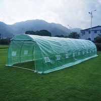 Serre tunnel agricole serre tube en acier galvanisé polycarbonate semences potagères