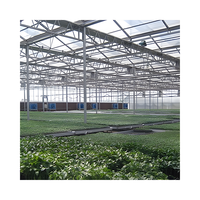 Prix de gros Serre agricole commerciale en verre Venlo multi-travée serres agricoles pour plants de tomates