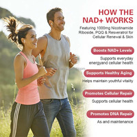 Complément Énergétique OEM/ODM : Sachet Liquide Oral NAD+ (Nicotinamide Riboside, PQQ, Trans-Resvératrol, Quercétine, Phytosome) 10g