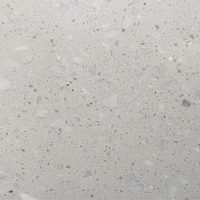 Dalles de terrazzo modernes de couleur personnalisée, carreaux en pierre artificielle résistants à l'usure pour les sols d'hôtels et de villas